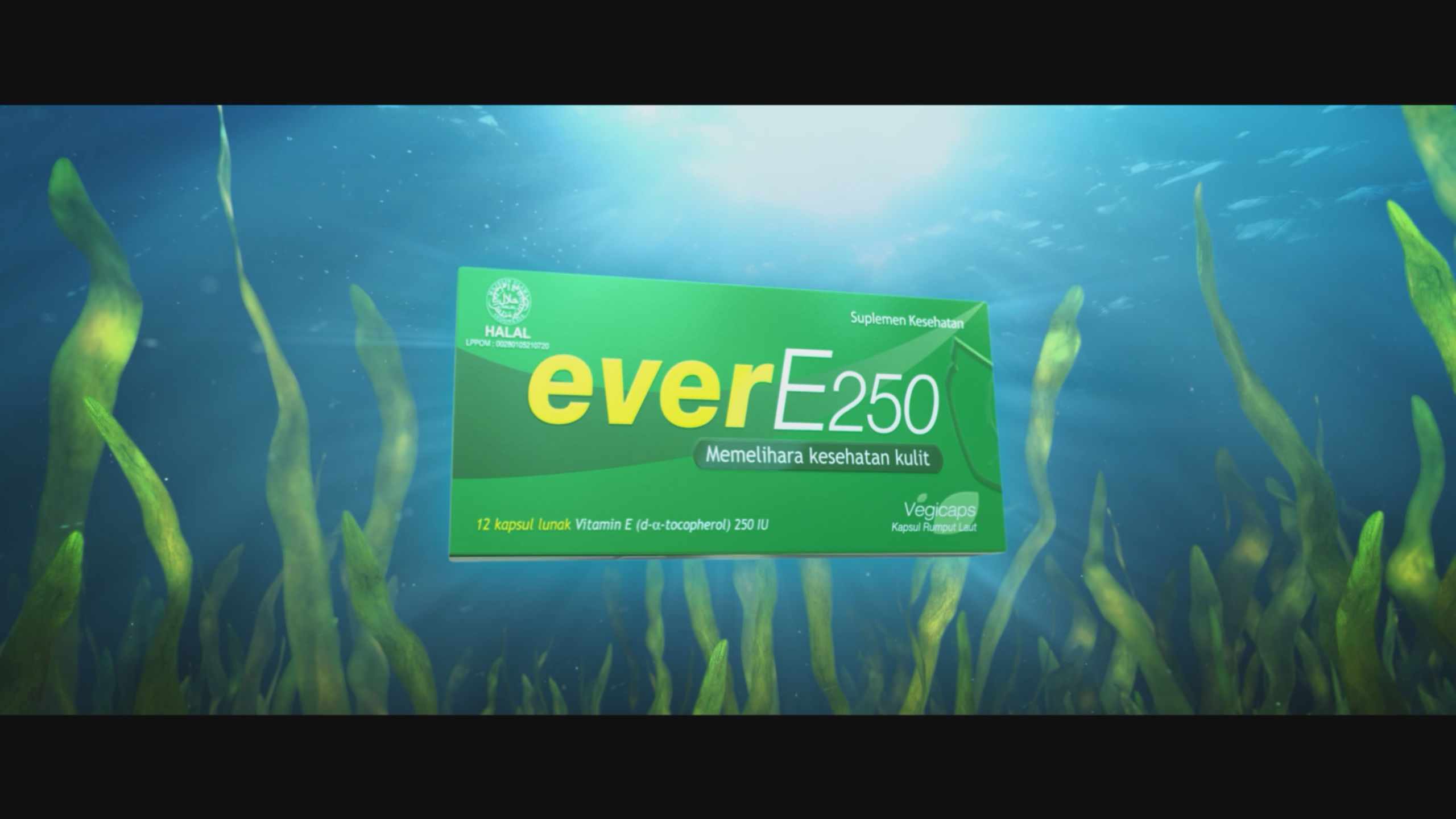EVER E 250 2
