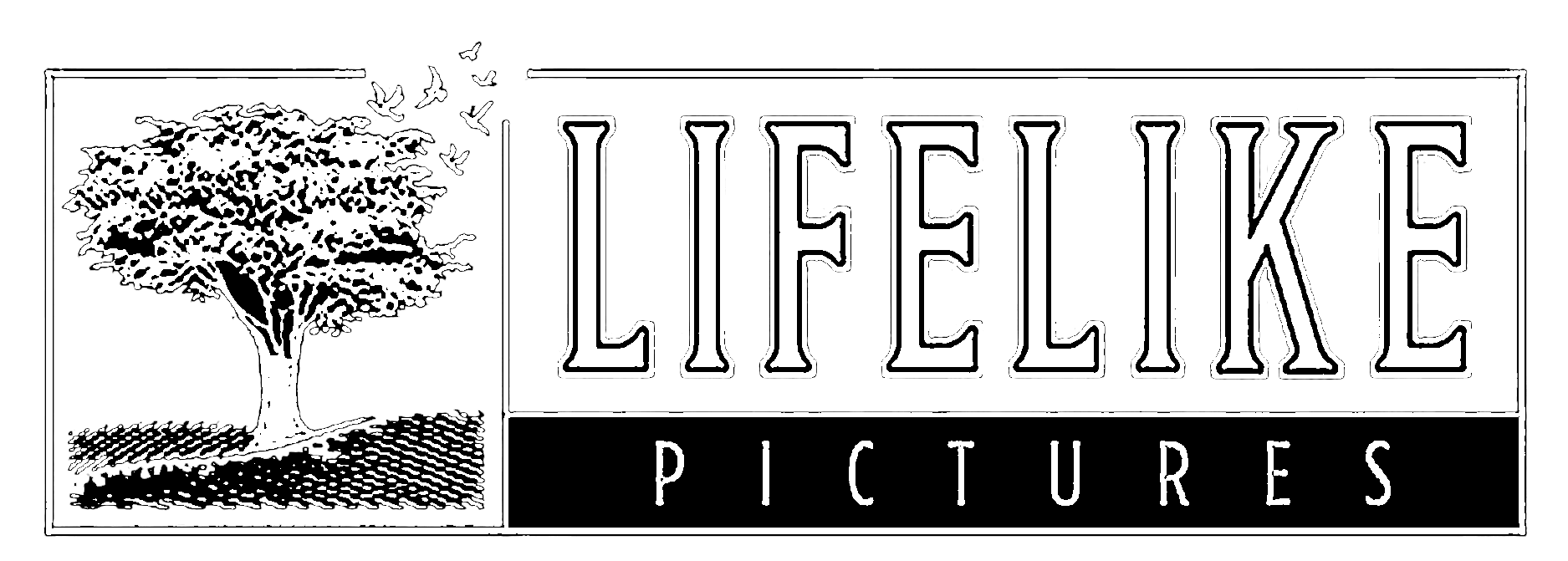 Lifelike Picture