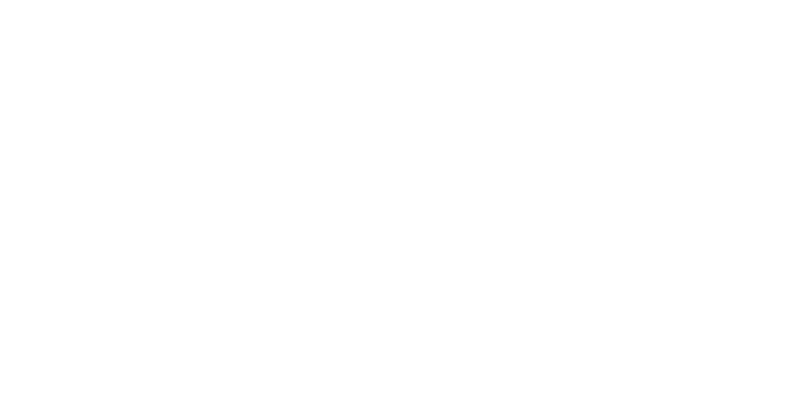Rapi_Films_2013