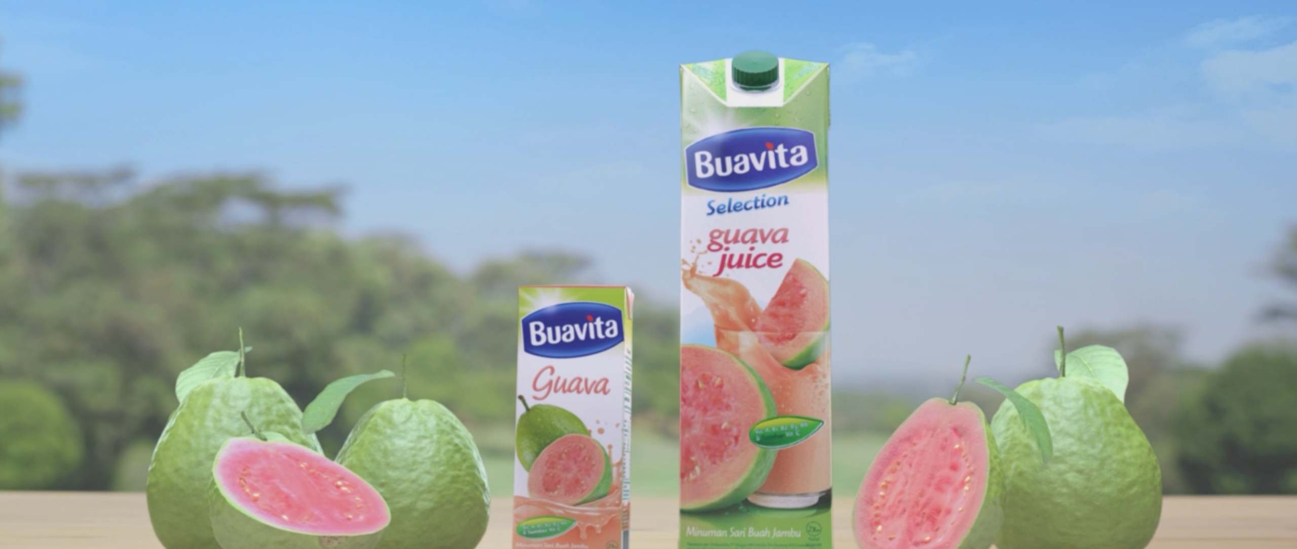 Buavita 2