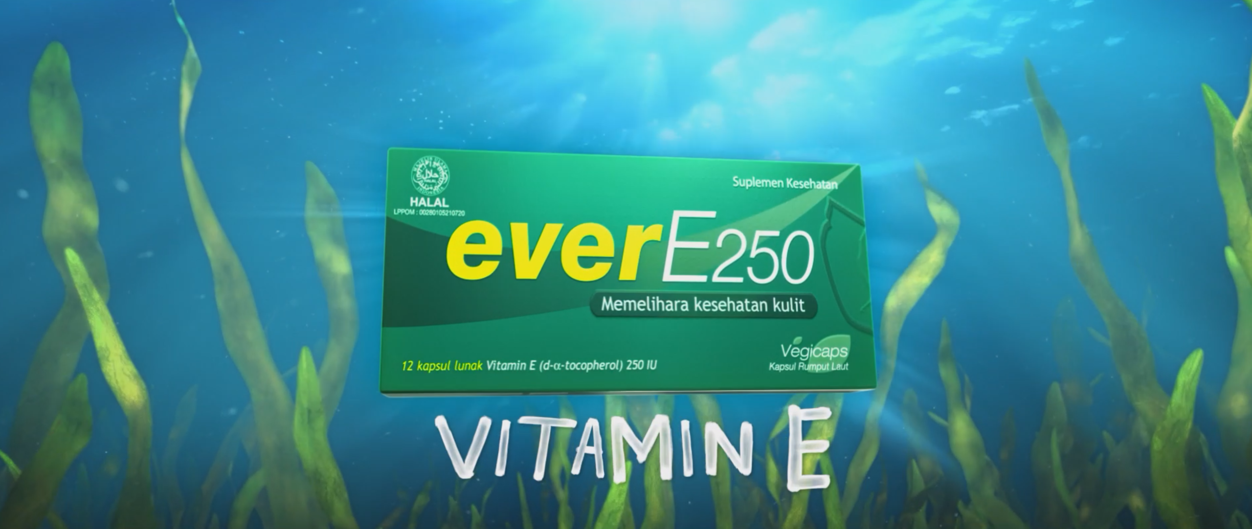EVER E 250 3