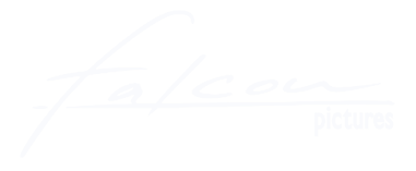 Falcon_white