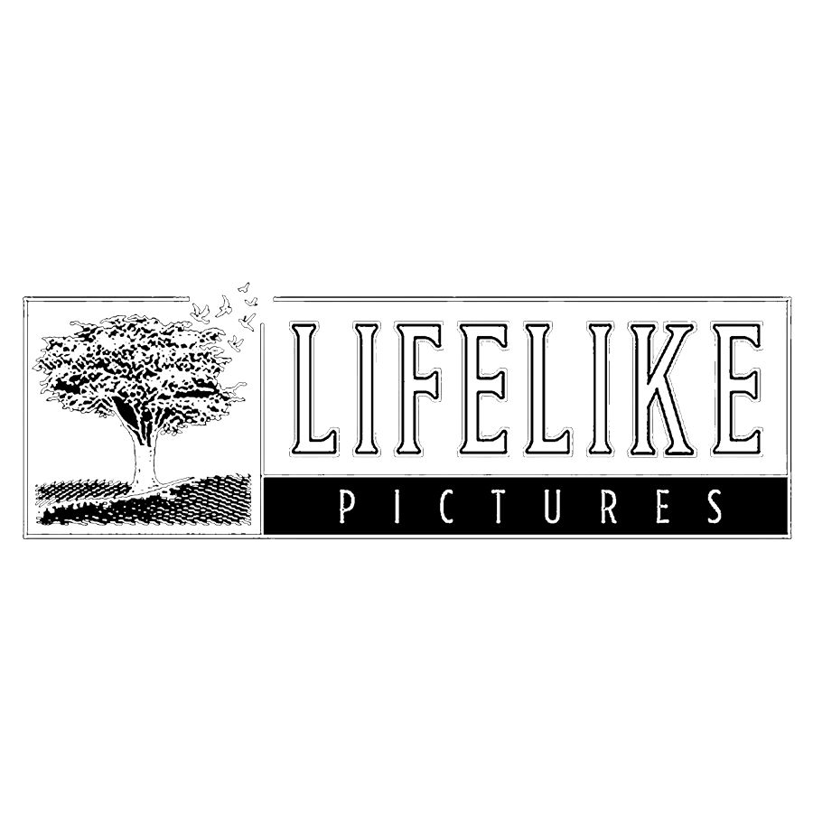 Lifelike Picture