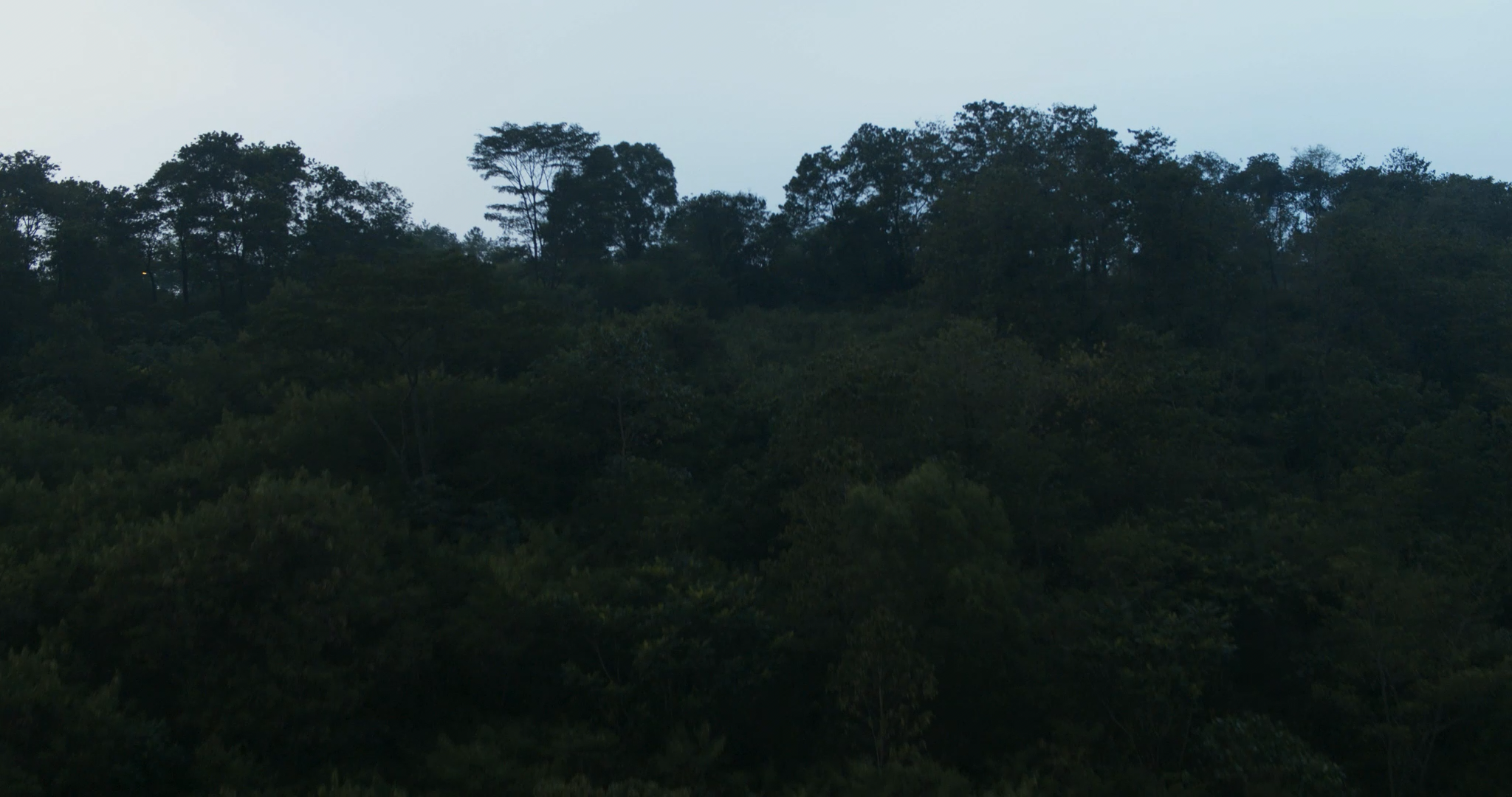 HUTAN_GEDUNG_BEFORE